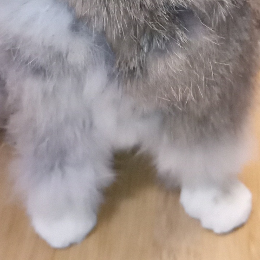 Vintage Realistic Real Fur Cat - Picture 14 of 17